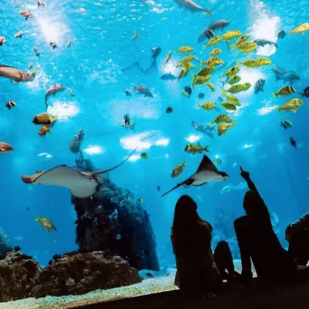 Апартаменти Comfort Relax & Explore Vasco Da Gama, Expo