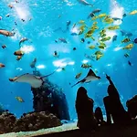 Daire Comfort Relax & Explore Vasco Da Gama, Expo